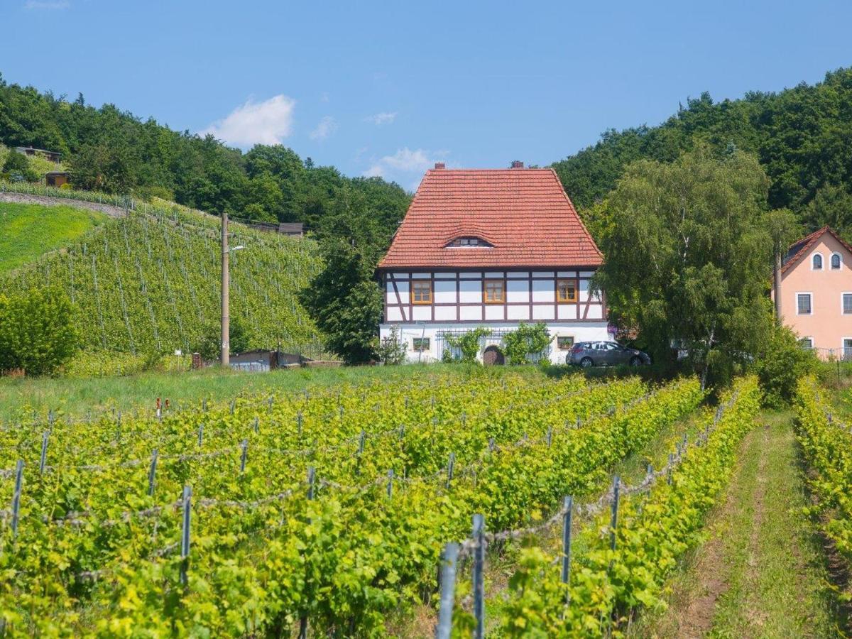 Hotel Boerse Coswig Exteriér fotografie